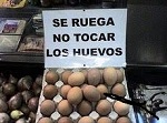 Avatar de Usuario